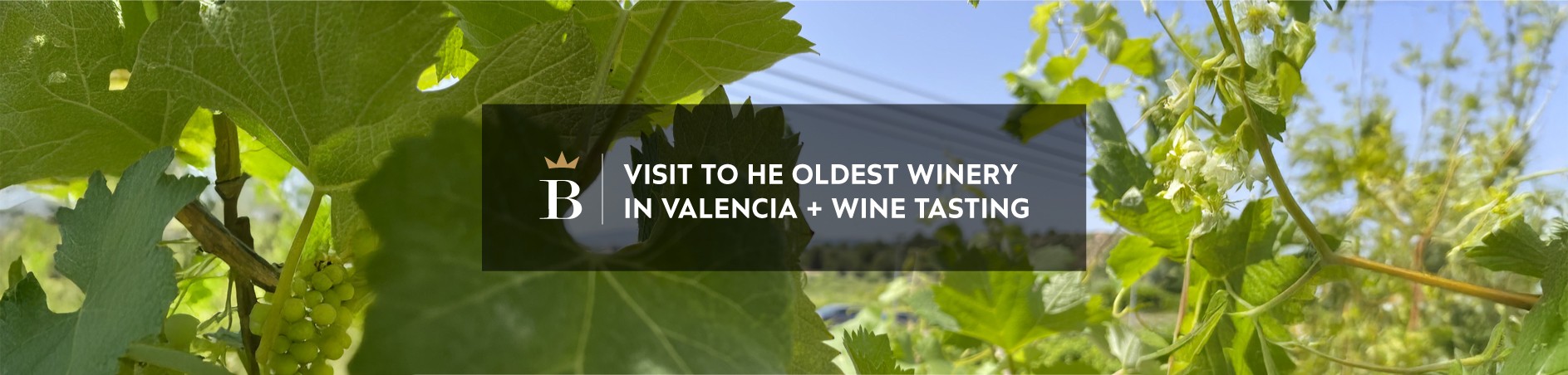 Cabecera_experiencia_03_en